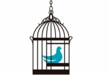 Our Society Normalizes Abuse