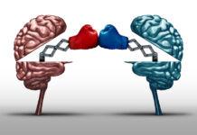 Pharma CEO, Others Attempt Contradictory Critiques of Serotonin-Debunking Study Battle of the brains and war of wit concept as two opposing open human brain symbols fighting as a debate or dispute metaphor and an icon for creative competition in a 3D illustration style.