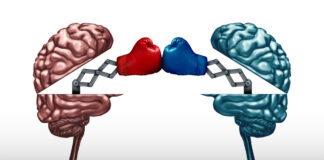 Pharma CEO, Others Attempt Contradictory Critiques of Serotonin-Debunking Study Battle of the brains and war of wit concept as two opposing open human brain symbols fighting as a debate or dispute metaphor and an icon for creative competition in a 3D illustration style.