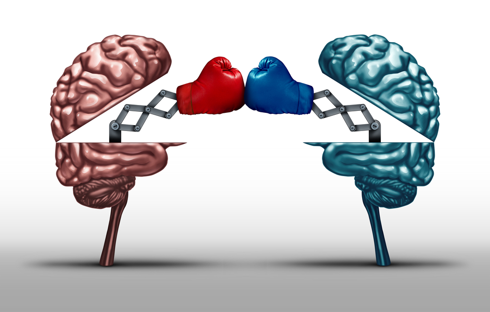 Battle of the brains and war of wit concept as two opposing open human brain symbols fighting as a debate or dispute metaphor and an icon for creative competition in a 3D illustration style.