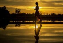 Depth Psychology for Social Healing
