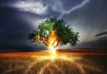 Healing Crises: When Things Get Worse Before They Get Better