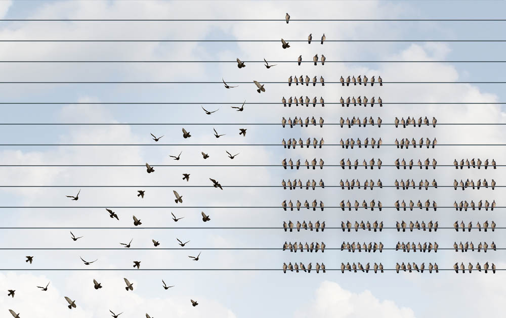 Illustration: Birds on lines organizing into the shape of a bar graph