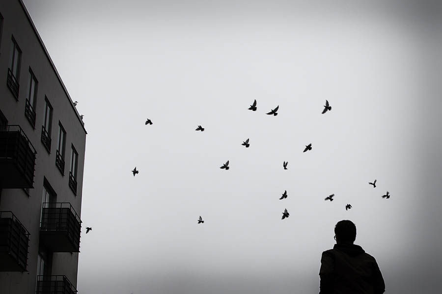 black and white art photo of birds and a silhouetted human figure near a building