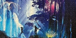 The Connection Between ‘Bipolar Disorder’ and Migraine: Unraveling the History of a Family Line