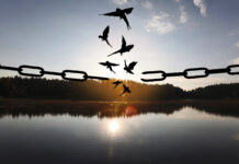 Escaping The Shackles of Psychiatry: What I’ve Seen and Survived, as Both Doctor and Patient