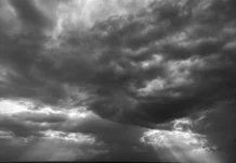When I Was Indifferent by Timothy Hamilton