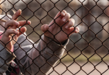 Migrant children in U.S. detention face physical, mental harms: report
