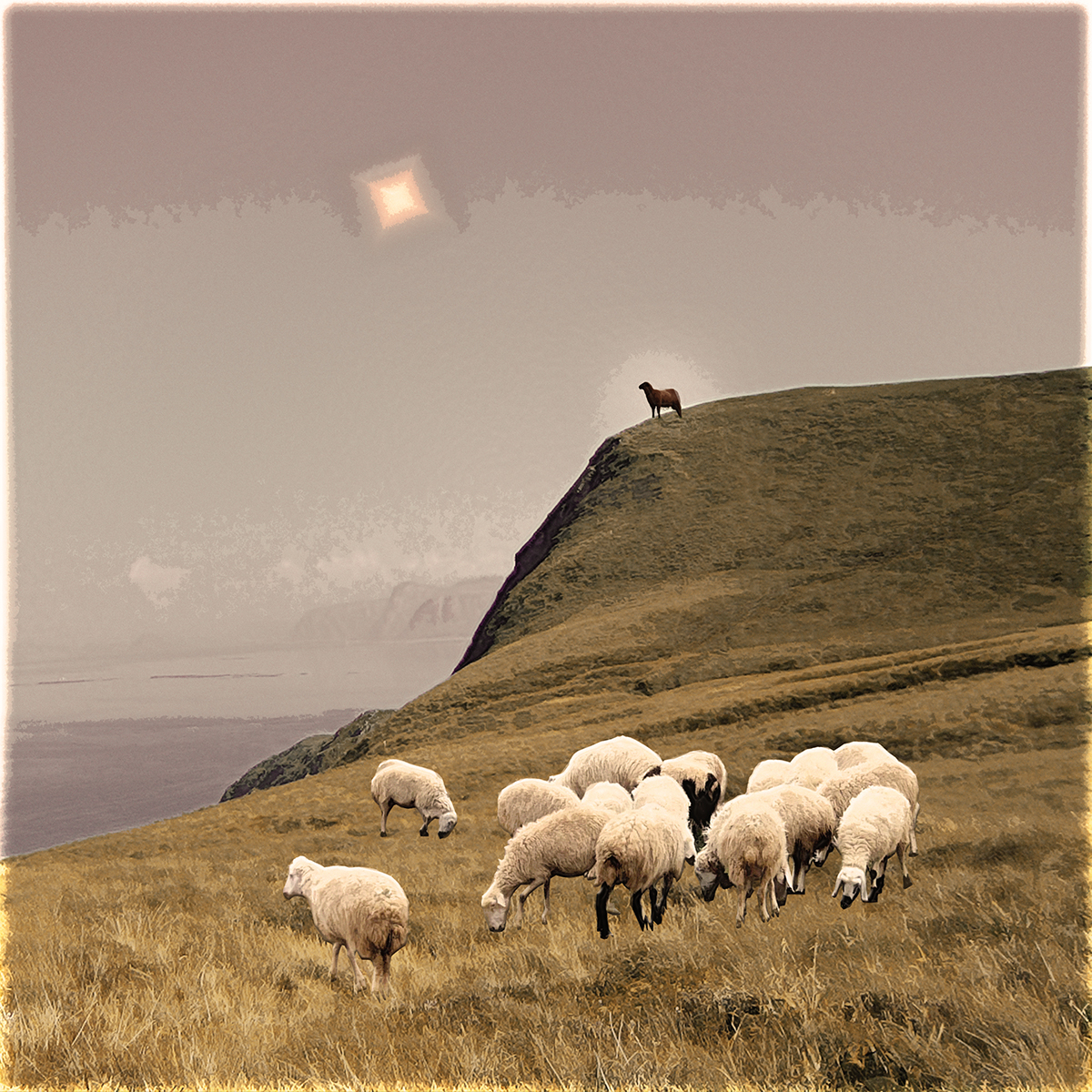 Altered photography/collage with sheep grazing in foreground and black sheep standing at the top of a hill, in the light of a diamond-shaped sun
