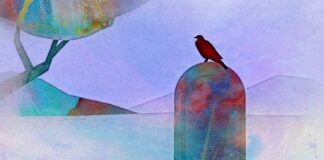 Grief, Bereavement, Public Health, and Me