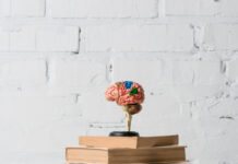 Mood Disorder Handbooks Perpetuate Psychiatric Myths, Present Barriers to Systemic Thinking