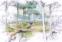 Can Access to Greenspace Protect Against Psychotic Experiences?