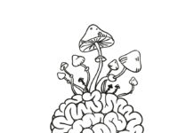 Mind The Psychedelic Hype: A Critical Look at the Rising and Falling Efficacy of Treatments for Depression