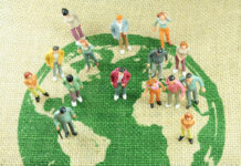 More Psychologists, More Problems? The Paradox of Mental Health Workforce Expansion