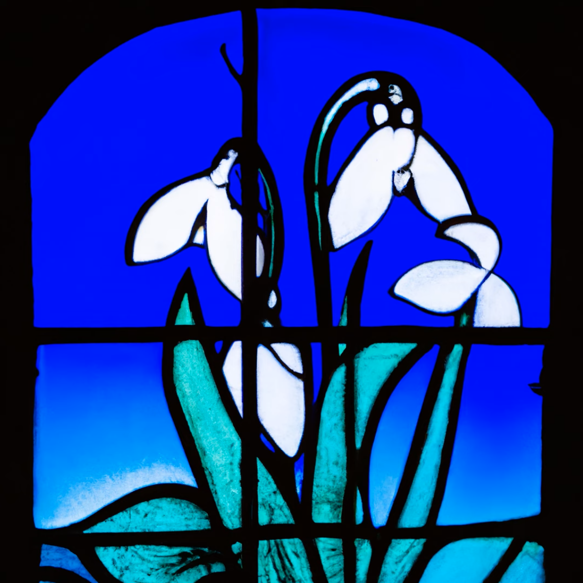 Acis Autumnalis by Daniel Neal - Vimarsana News