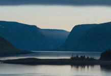 The Dying of the Light: Norway’s “Medication-Free” Services for Psychotic Patients Are Fading Away