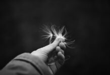 (Not) Special by Erin Harer