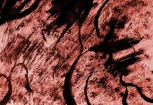 2017: My Descent Into Mayhem