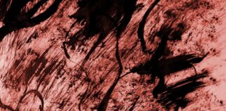 2017: My Descent Into Mayhem