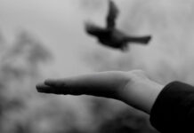 What Is Beyond a Diagnosis? Black and white photo of a hand releasing a bird