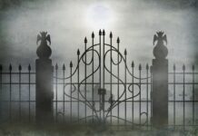 When the Lunatics Arise by Bonnie Schell