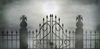 When the Lunatics Arise by Bonnie Schell