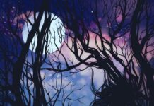 Moonlight Mystery by Jason Aull
