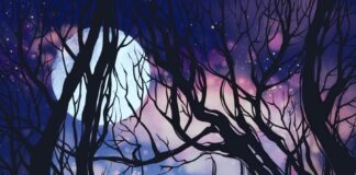 Moonlight Mystery by Jason Aull