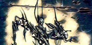 The Parasite Within by Rhiannon Chianese