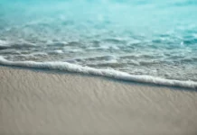 My Story of Surviving Psychiatry