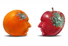 Is Mental Health a Choiceâand Can Understanding Help Us Heal? An orange and an apple with faces facing toward each other. Each have mold growing in different areas.