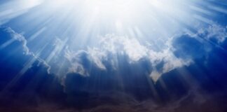 The Light Prevailed by Diana Spore