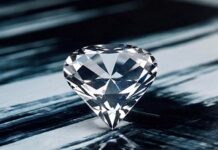 TRUE STORY by Jasmine Marshall