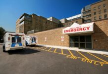 Reframing Crisis: Insights from a New Phenomenological Study