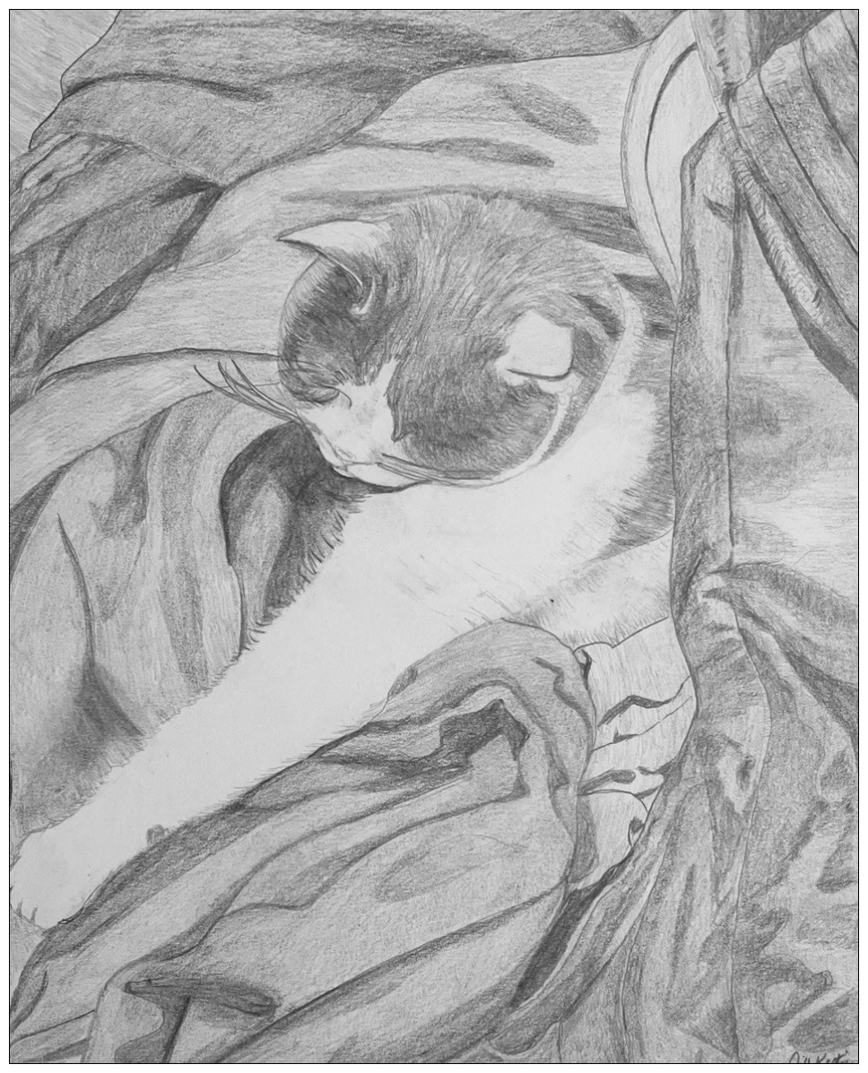 A black and white drawing of a cat in bed