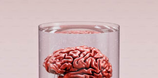 My Impressions of Psychiatry A brain in a jar