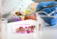 Researchers Critique Psychiatry’s Flimsy Evidence for Psychedelic Drugs Magic Mushrooms with psychedelic colors in laboratory. Psilocybin science and research. Person examining fungi.