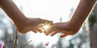 A Bicultural MÄori/European Vision for a Truly Healing Hospital Close-up of hands, sunlight between them, above tiny growing pink flowers