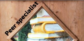 Rights, Responsibilities and Resources–Peer Support in Mental Health Services