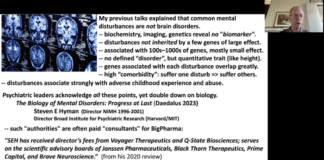 Video: Origins of Mental Disturbance in a ‘Normal’ Family – Like Mine – Peter Sterling