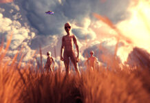 The Schizophrenic and the Dreamer Aliens in a cornfield