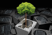 Schizophrenia and Homosexuality: My Experience and Case Studies 3D illustration of a green tree emerging from an unlocked prison-cell like door shaped like a head