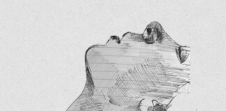 I Have a Night Life: When Doctors Become Fathers, and Fathers Become Patients