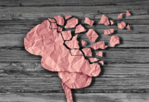 Illustration of a paper brain coming apart