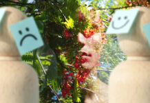 Collage of a complex person reduced to wooden blocks and post it notes of happy and sad faces