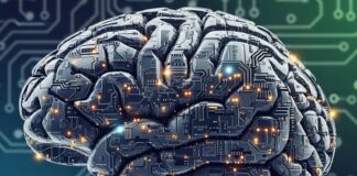 Labeled, Medicated, Misdiagnosed — Until I Rewired My Own Brain