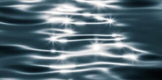 Shadow and Light by Dana Henry Martin