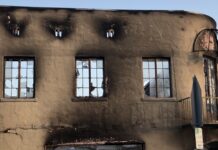 Faith in Oneself: How Adversity Made Me Anti-fragile