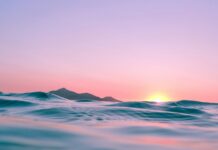 Leaving Psychiatry: Two Weeks In, 10 Years to Exit