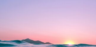 Leaving Psychiatry: Two Weeks In, 10 Years to Exit